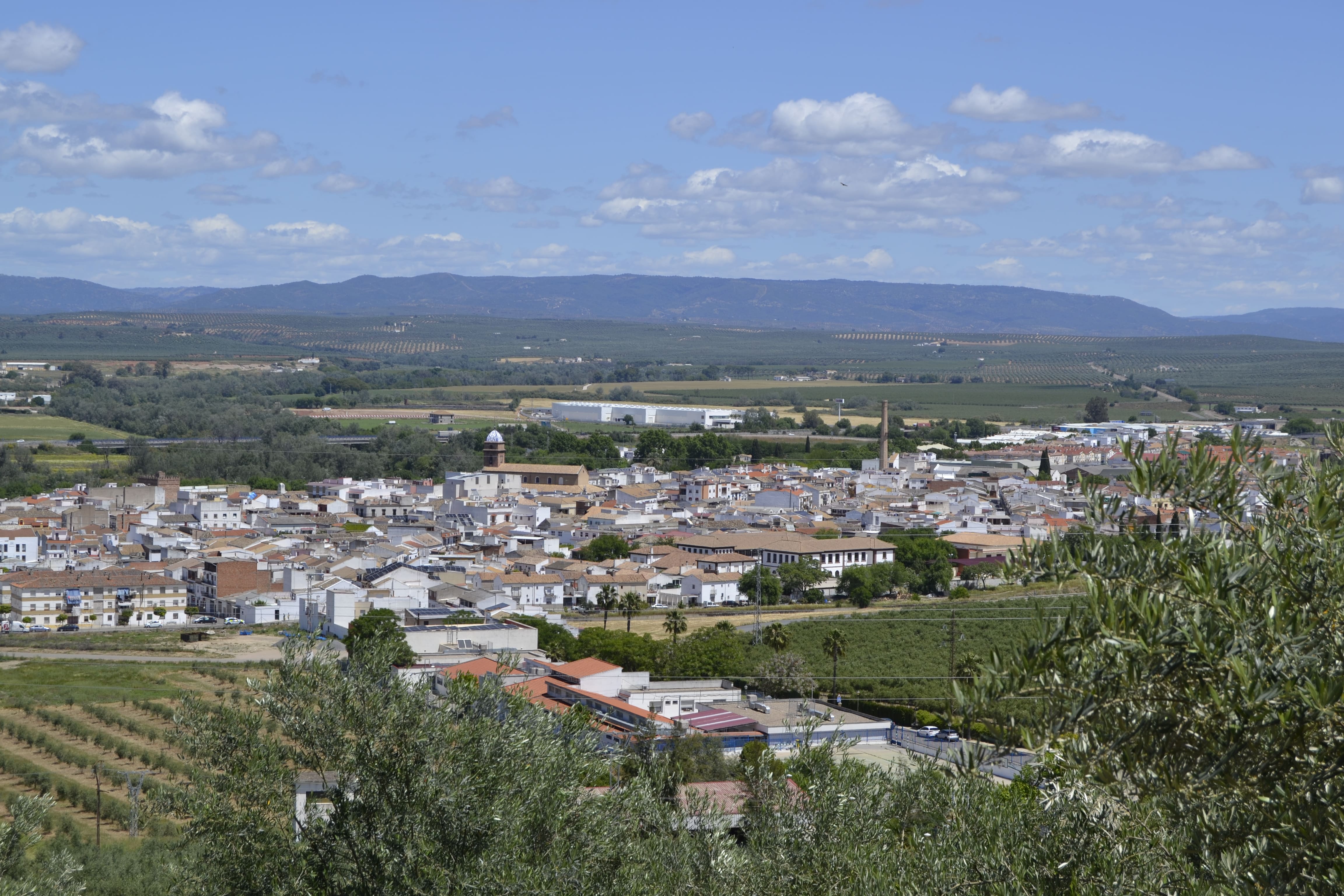 Vista de Villanueva del Río y Minas